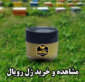 مشاهده رویال