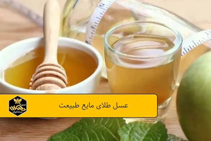 عسل طلای مایع طبیعت و خواص عسل