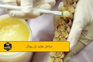مراحل تولید ژل رویال